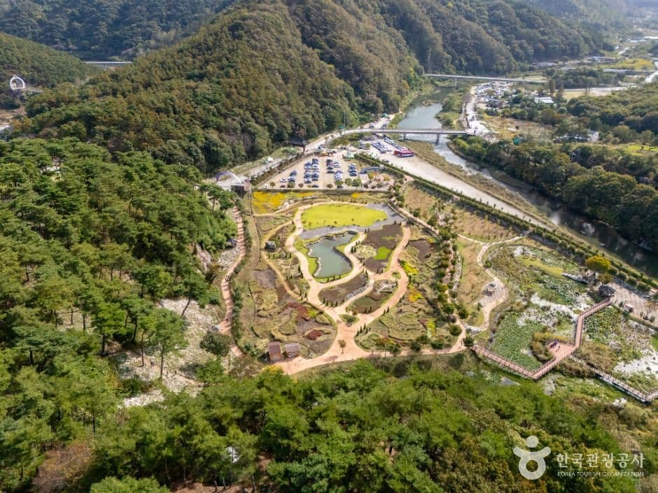 정읍_정읍 구절초 지방정원 (2)