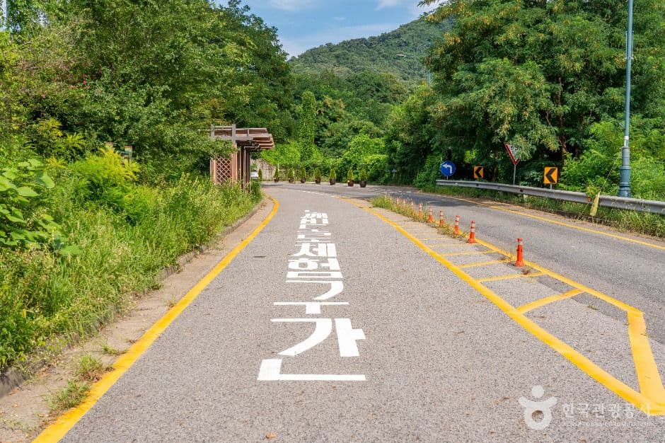 의왕_의왕도깨비도로 (1)