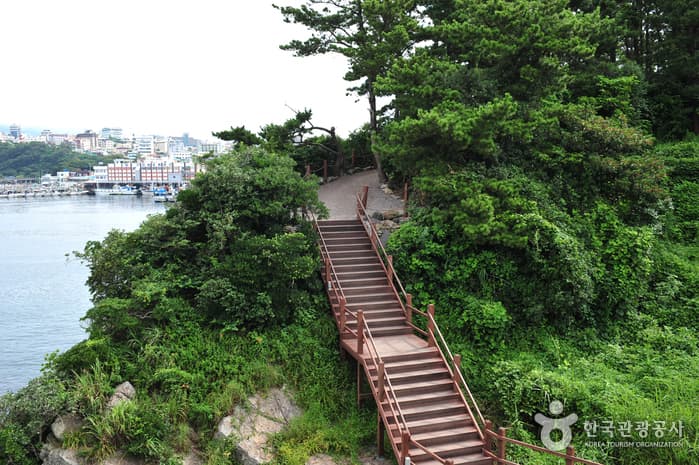 새섬