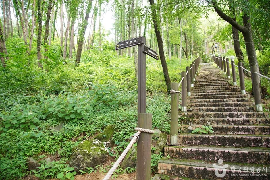조양산 (13)