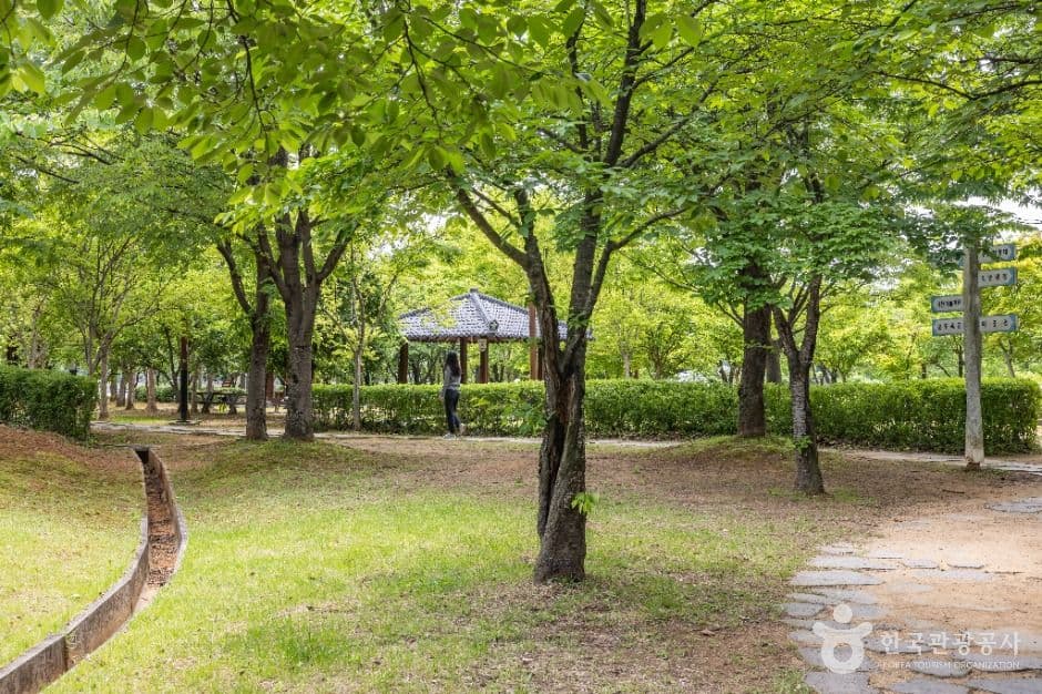 청주_오송호수공원 (5)