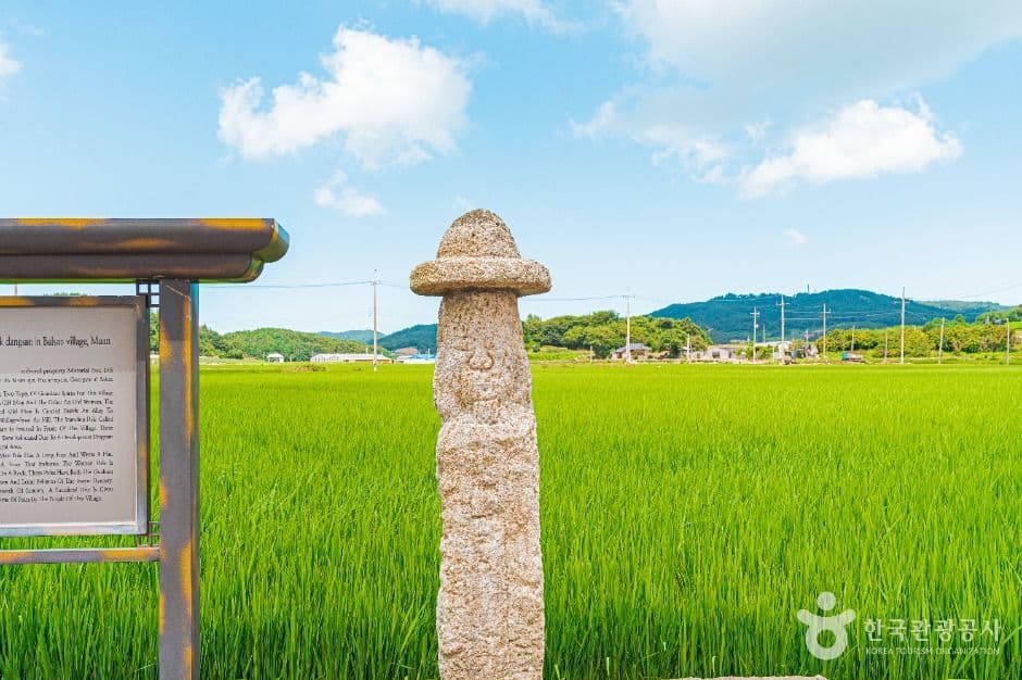 무안_무안 발산마을미륵당산 (3)
