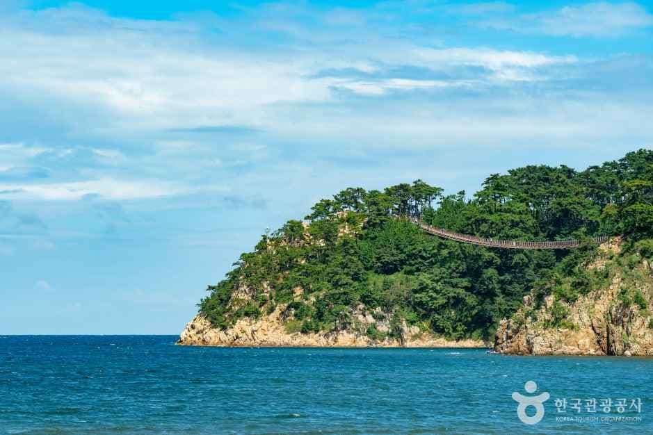 대왕암공원 출렁다리 (5)