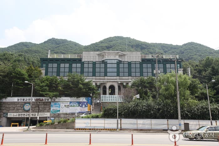 Nungin Sunwon (능인선원)