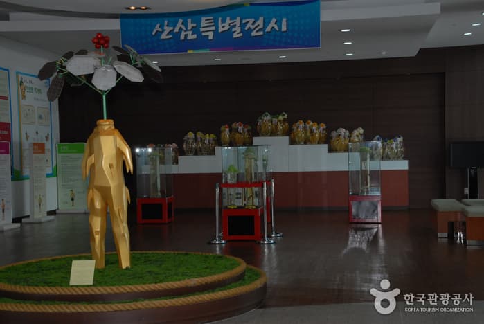 금산인삼관