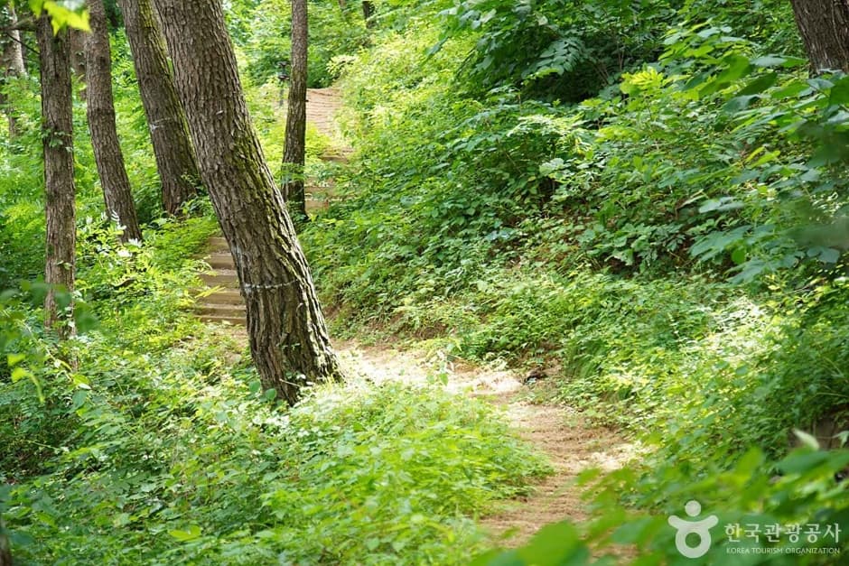 조양산 (14)