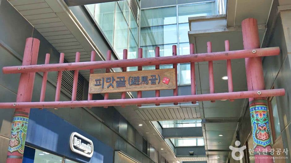 서울_서울 종로 낙지볶음 골목 (1)