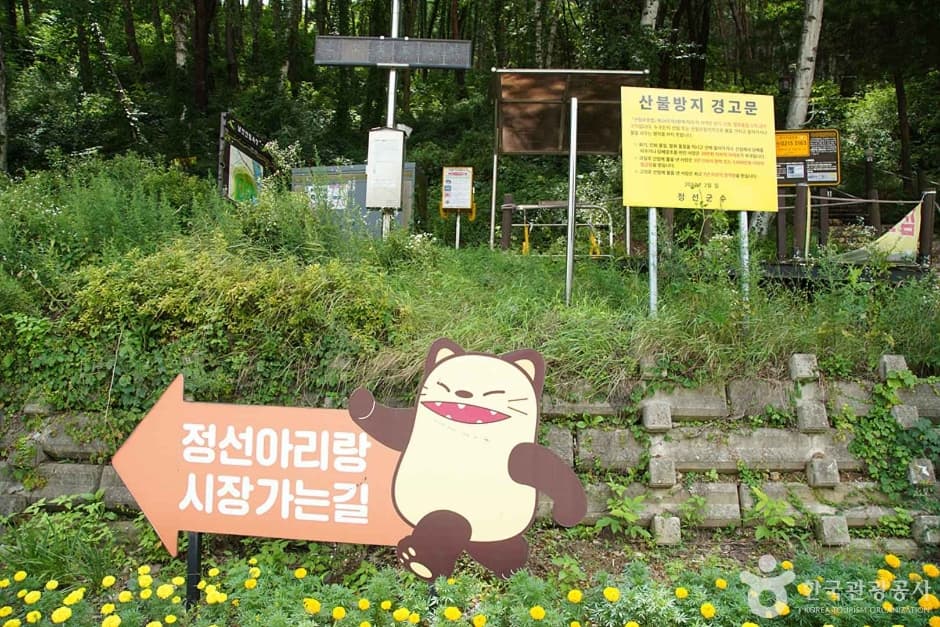 조양산 (19)
