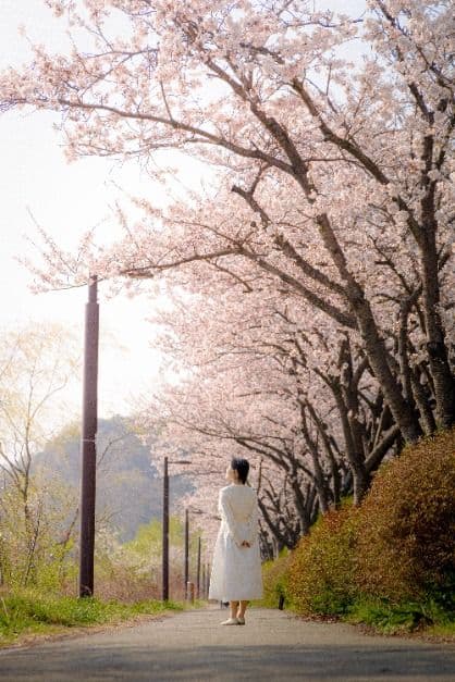 시흥_물왕호수 (3)