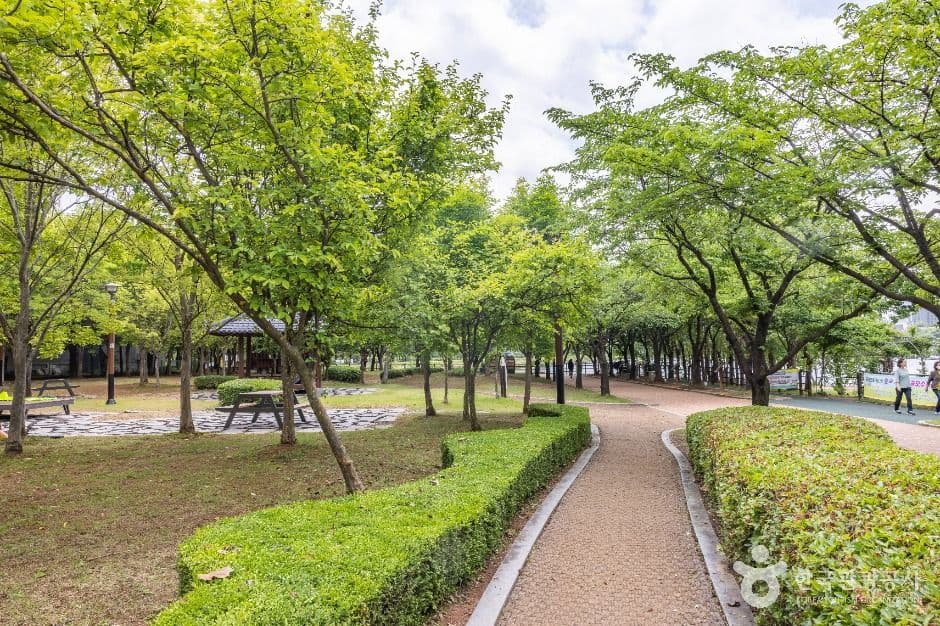 청주_오송호수공원 (7)