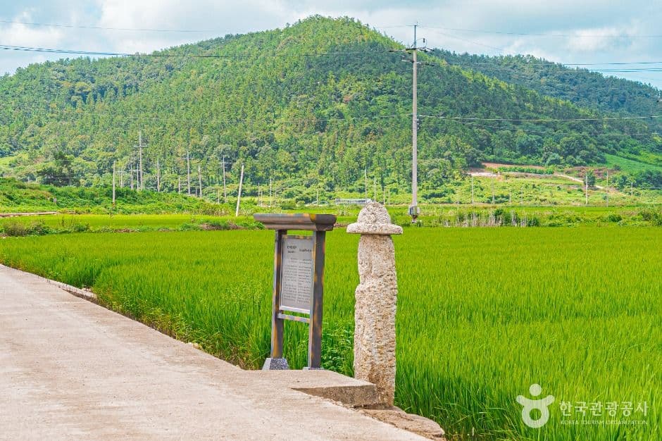 무안_무안 발산마을미륵당산 (4)