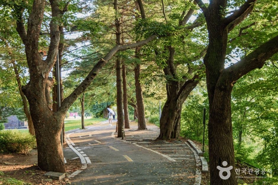 춘천_춘천시 수변공원 (7)