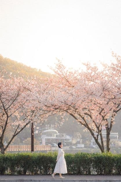 시흥_물왕호수 (4)