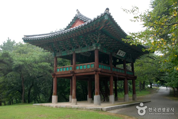 영일루