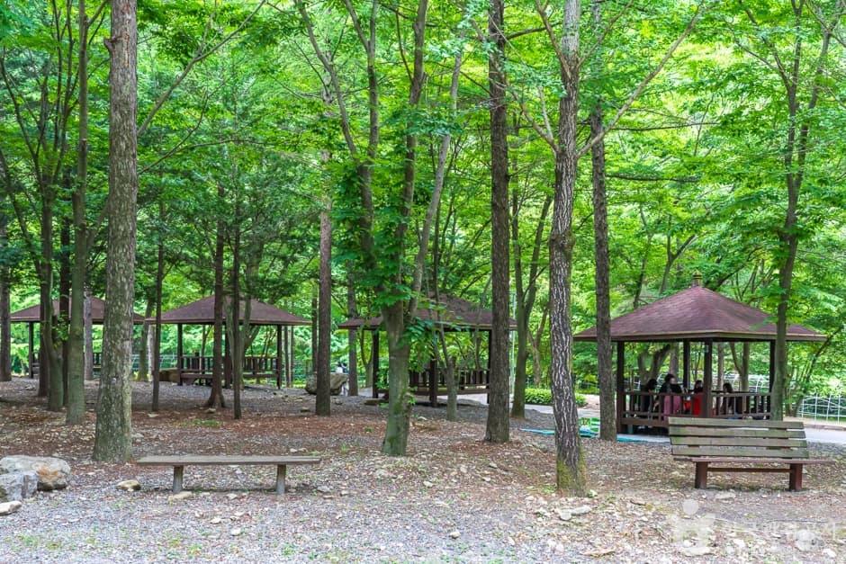 전북_완주_고산자연휴양림(4)