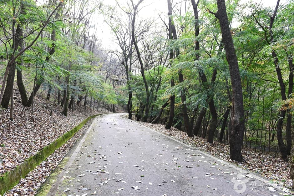 전북_익산_숭림사 (2)