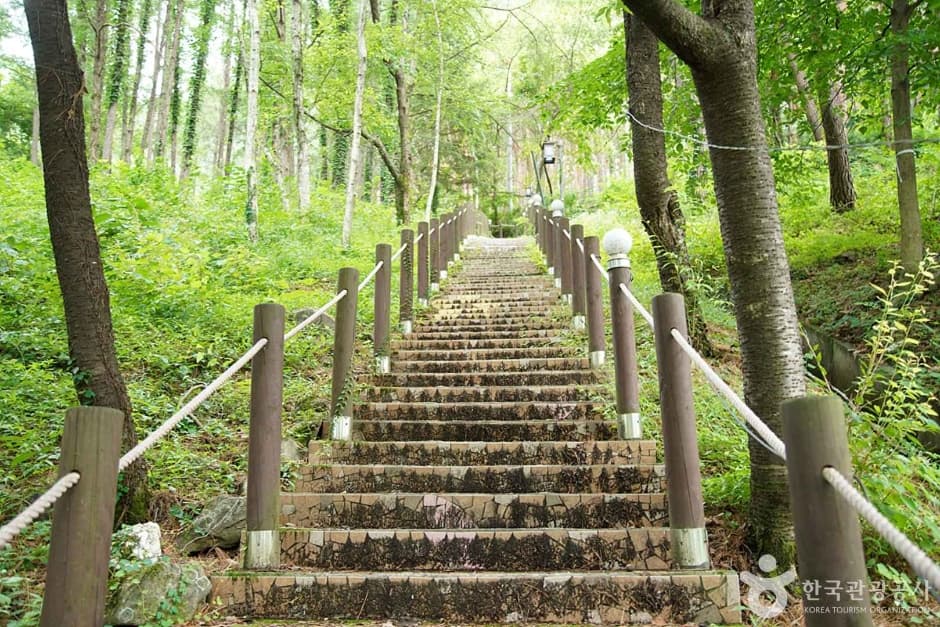 조양산 (10)