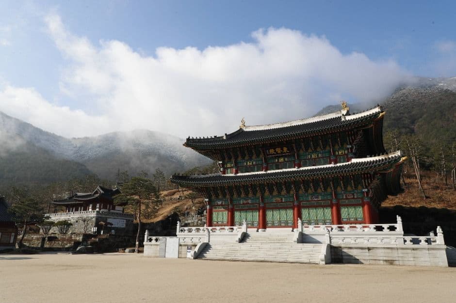 산청_왕산·필봉산 (2)