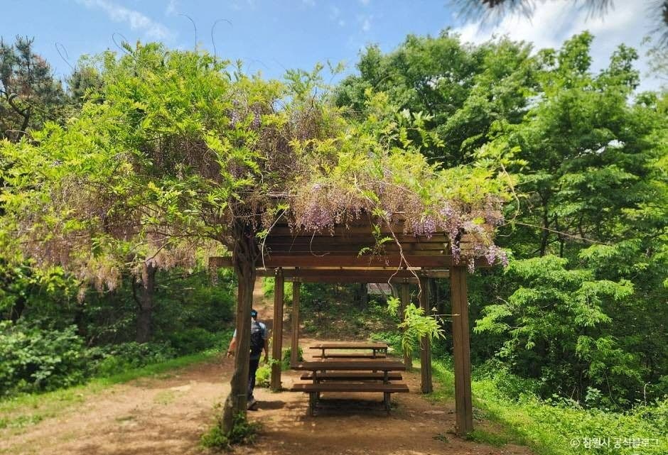 창원_정병산 (3)