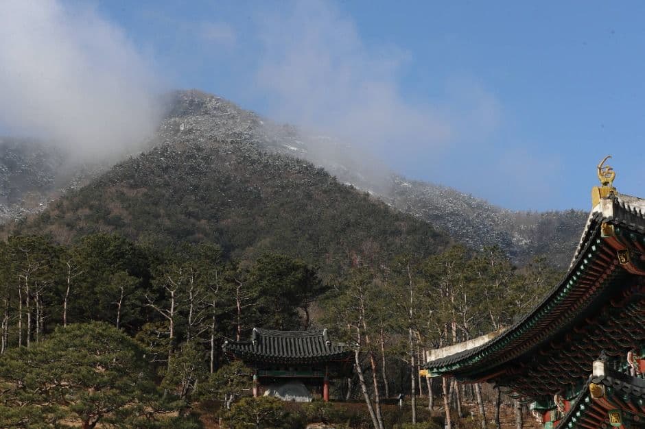 산청_왕산·필봉산 (3)