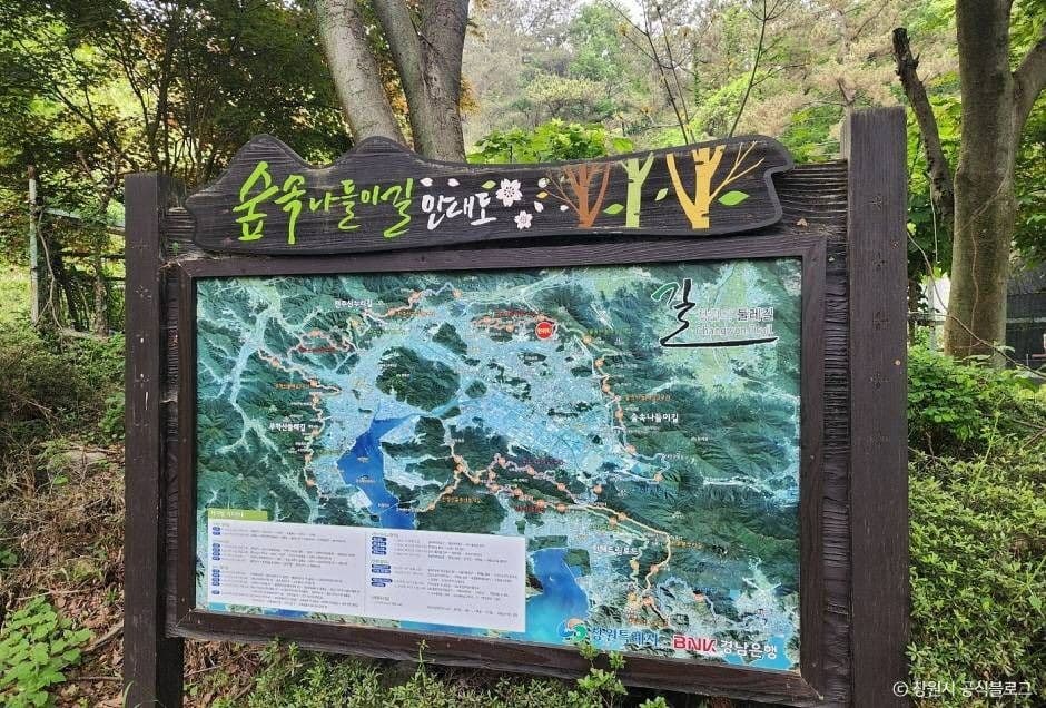 창원_정병산 (4)