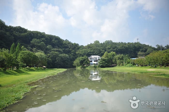 사선대관광지