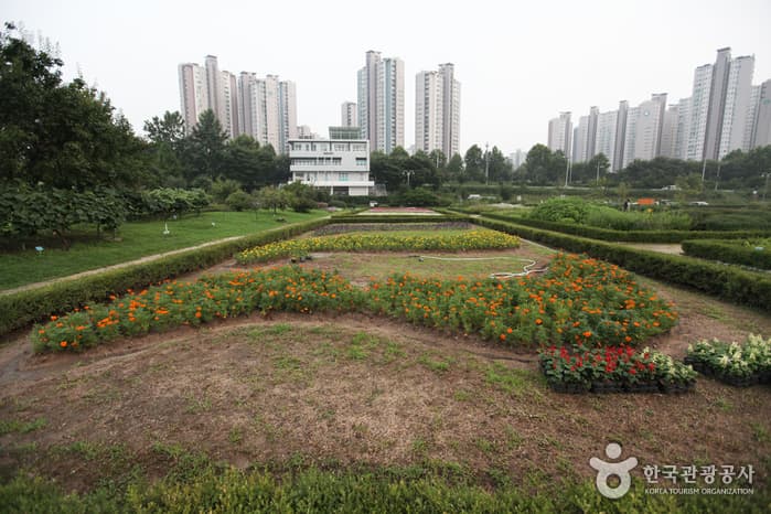 Jamsil Hangang Park (잠실한강공원)
