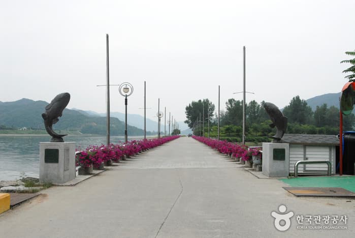 붕어섬