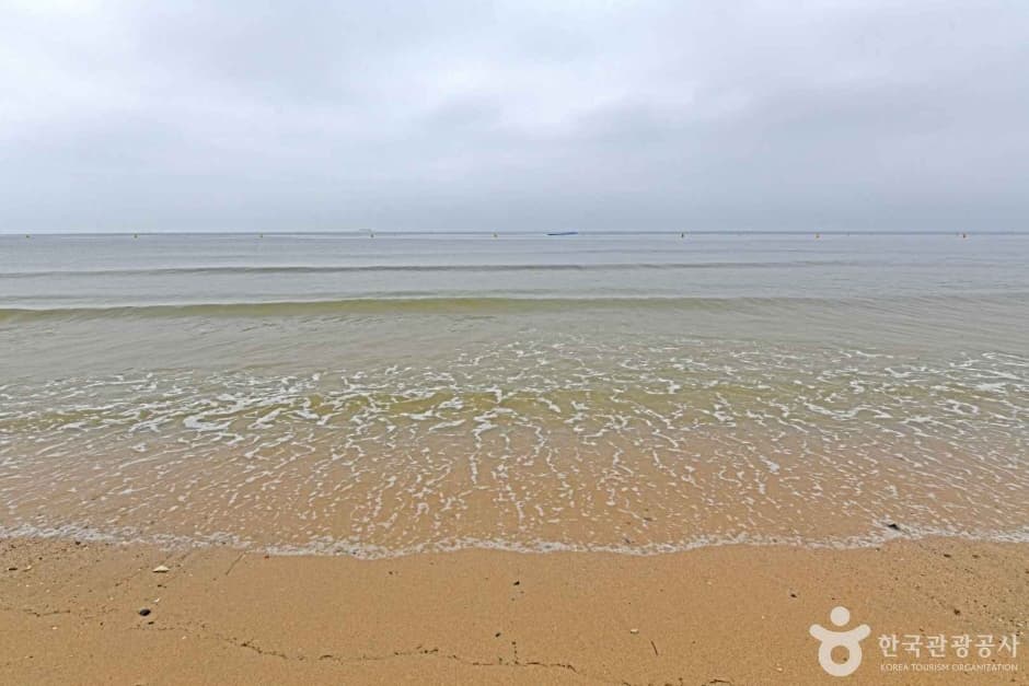 보령 해수욕장 관광특구 (3)
