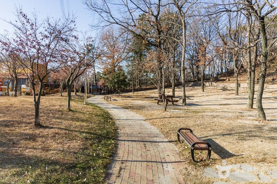 포항_포항댕댕동산 (3)