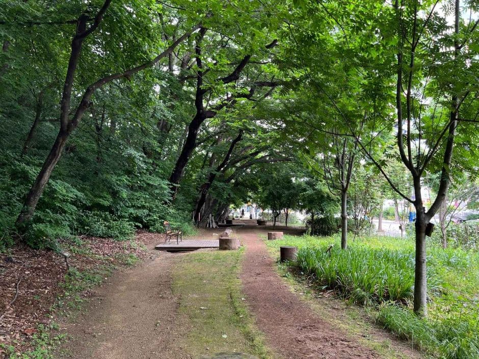 동해_냉천공원 (4)