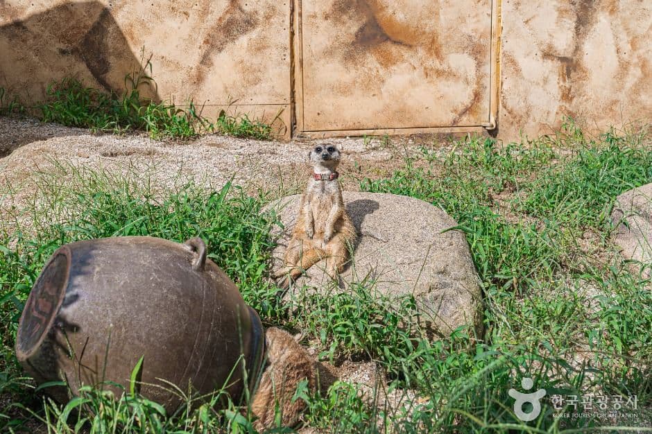전주_전주동물원 (4)