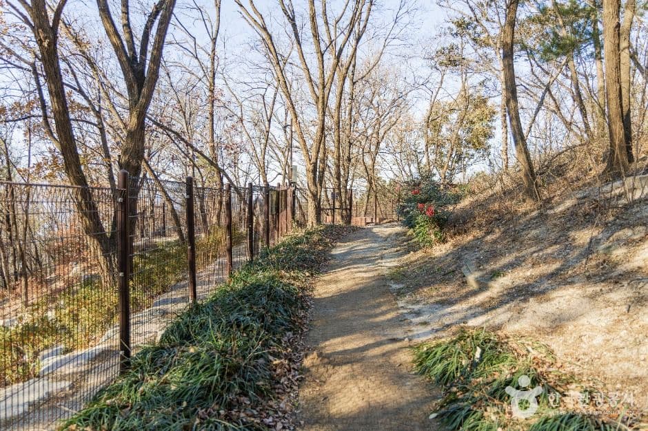 포항_포항댕댕동산 (4)
