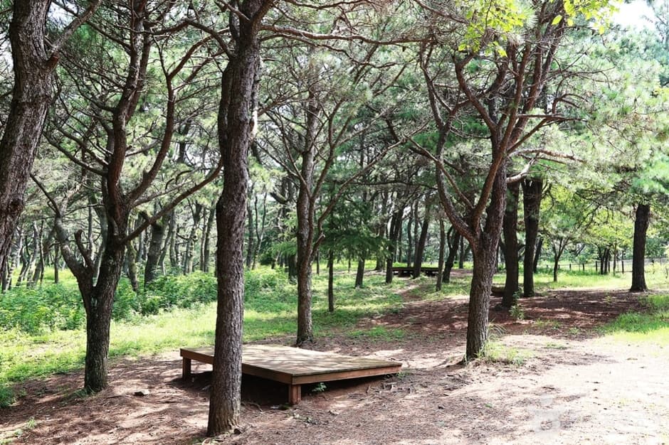 금정산성 동문 (5)