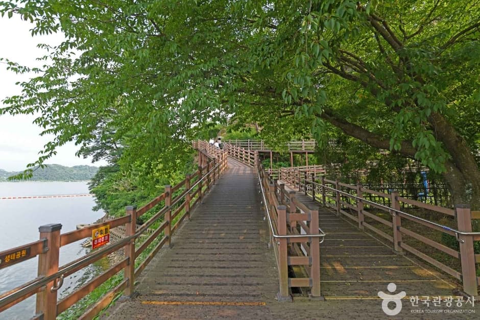 느린호수길 (6)