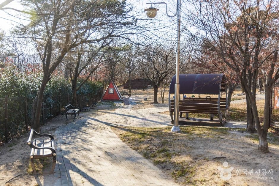 포항_포항댕댕동산 (5)