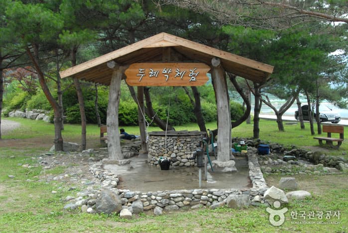 붕어섬