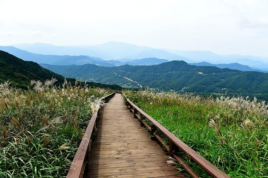 경남_산청_황매산미리내파크_황매산길데크11