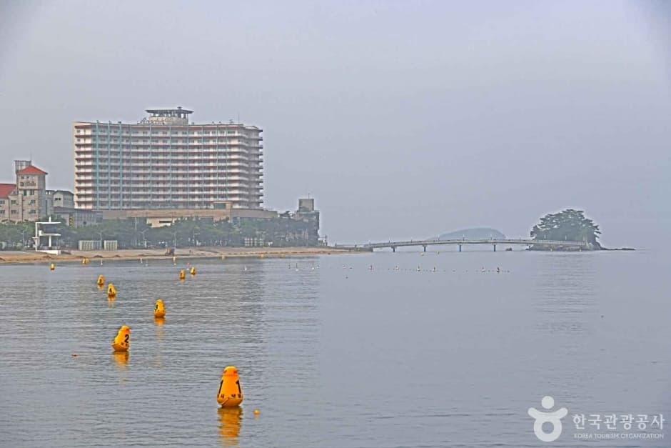 보령 해수욕장 관광특구 (6)