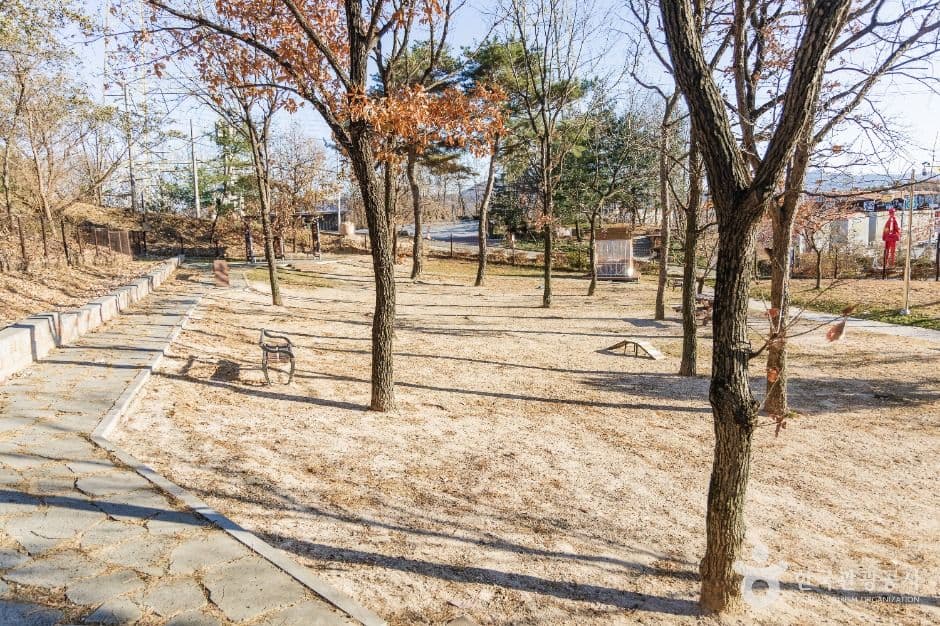 포항_포항댕댕동산 (6)