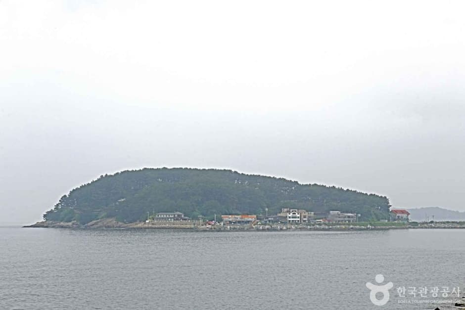 보령 해수욕장 관광특구 (7)