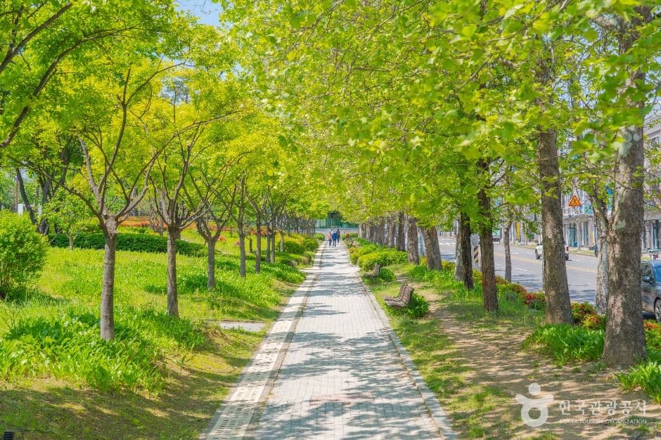수원_매탄공원 (7)