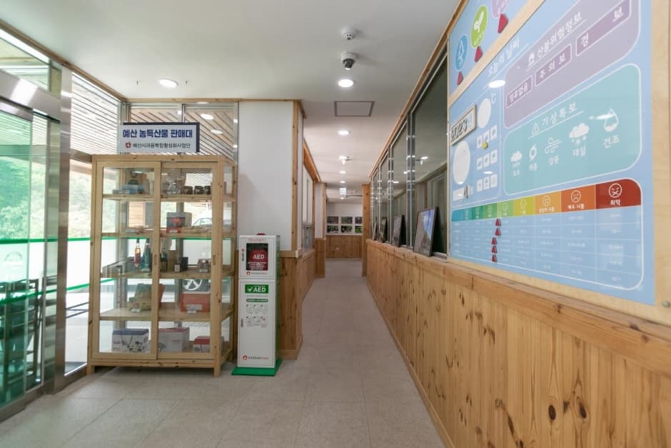국립예산치유의숲 (7)