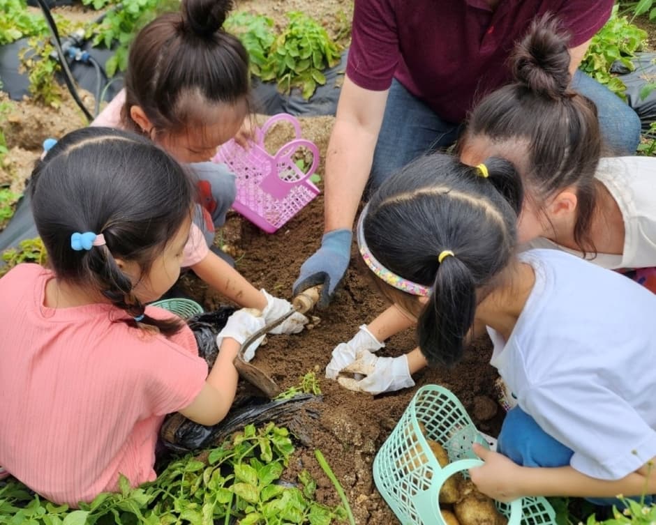 관광두레 주민사업체_오대산힐링빌리지(3)