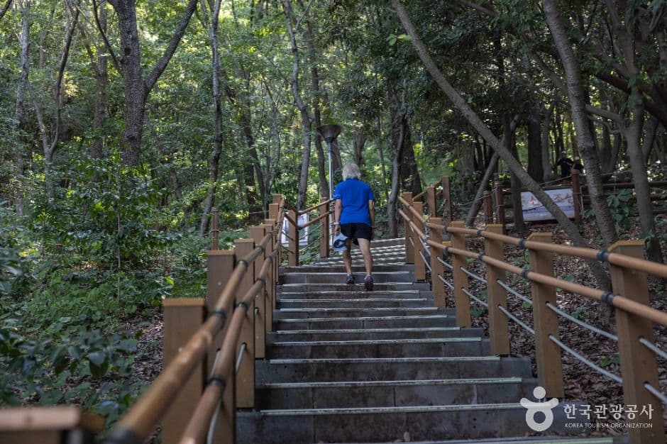 제주_한라수목원 (4)