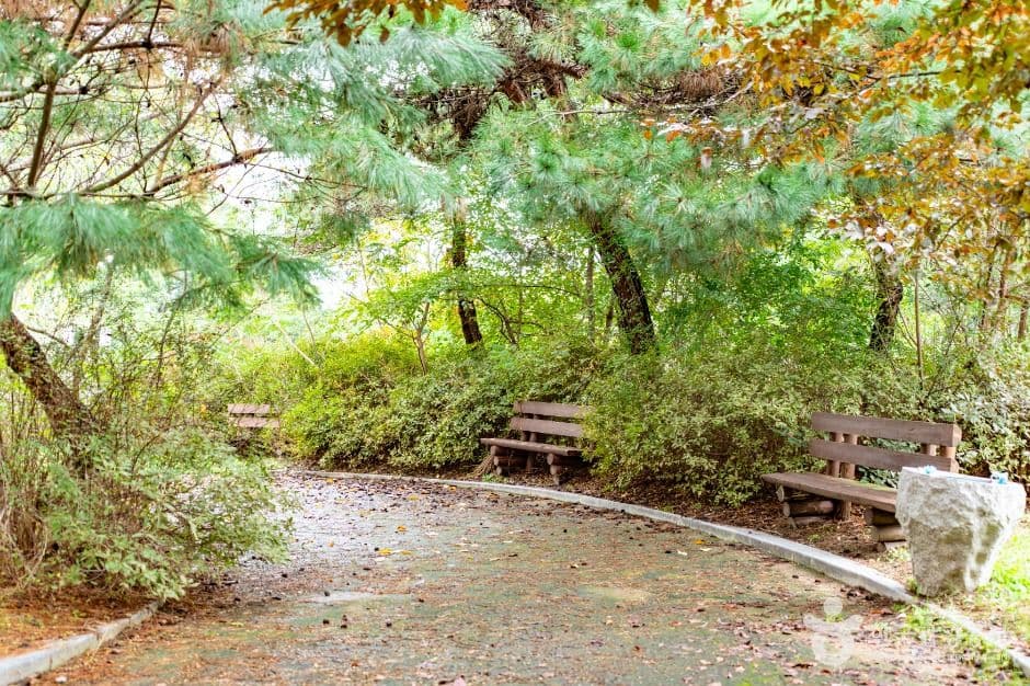 천안_불당동 유적공원 (선사유적지 공원) (3)