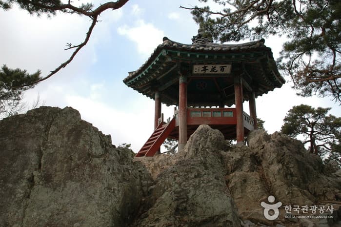 낙화암과 백화정_06