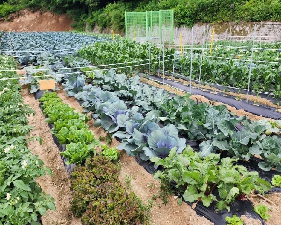 관광두레 주민사업체_오대산힐링빌리지(6)