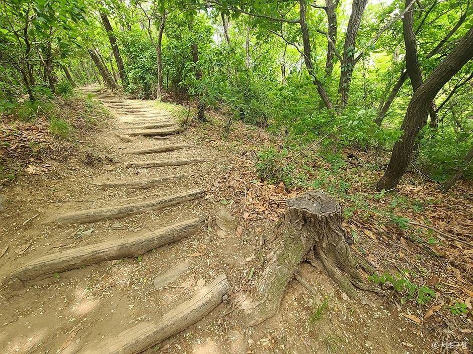 서울_구룡산(서울) (3)