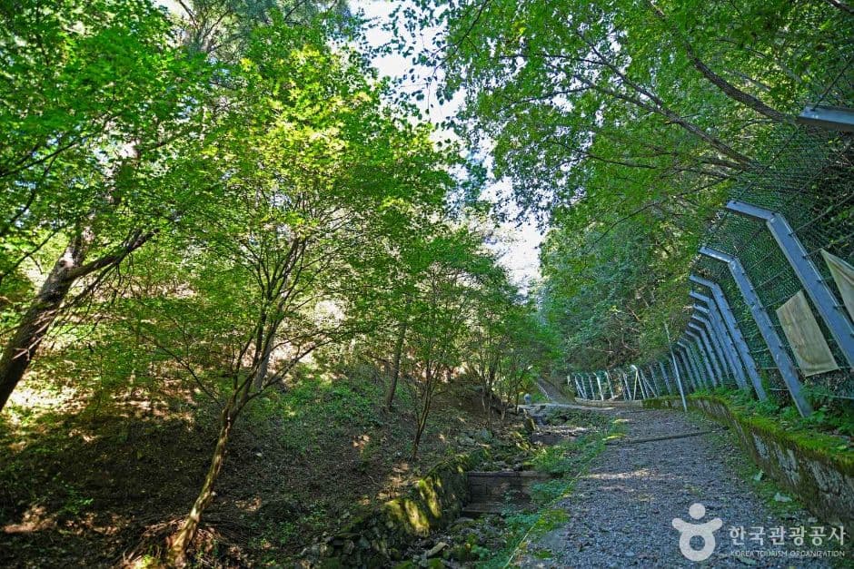 강원_화천_낭천산림욕장 (5)